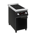 SARO Induktionsherd mit 2 Felder Modell JOHANN SARO