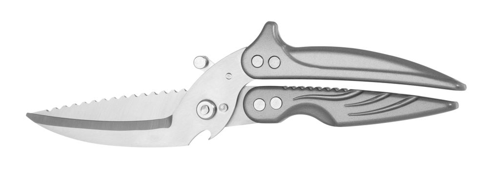 HENDI Geflügelschere abnehmbar – 260 mm, Edelstahl/Aluminium