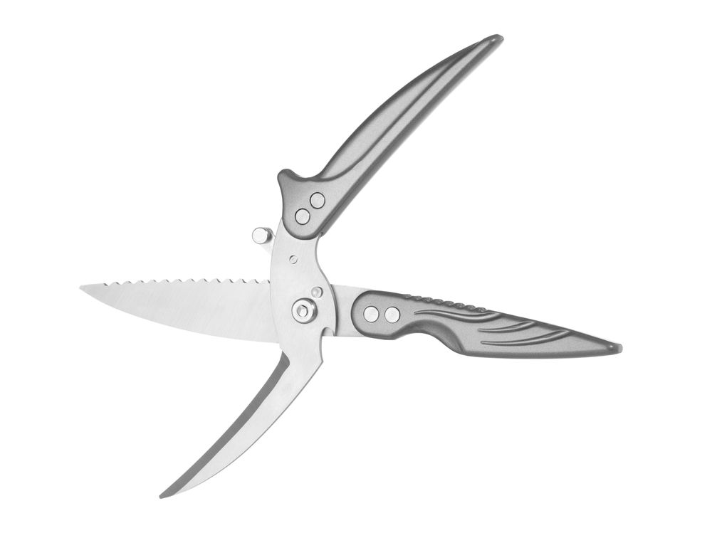 HENDI Geflügelschere abnehmbar – 260 mm, Edelstahl/Aluminium