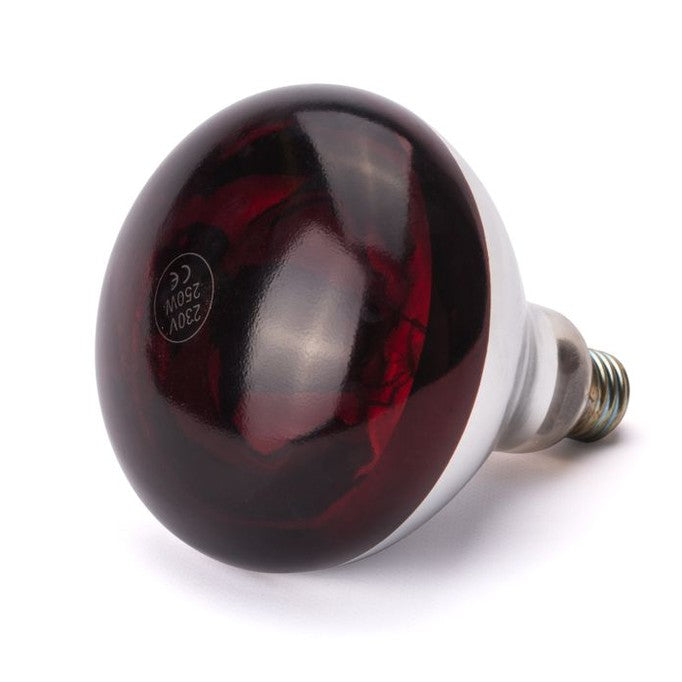 Infrarot-Glühlampe, HENDI, Rot, 230V/250W, ⌀125x H 170mm HENDI