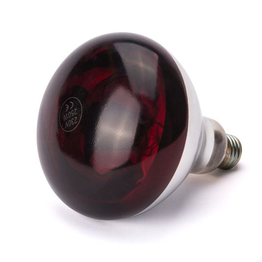 Infrarot-Glühlampe, HENDI, Rot, 230V/250W, ⌀125x H 170mm HENDI